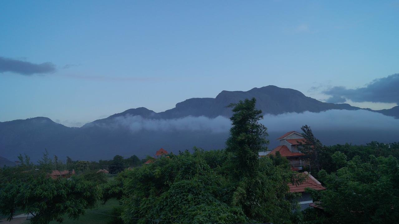 Mountain View Hotel Masinagudi Luaran gambar