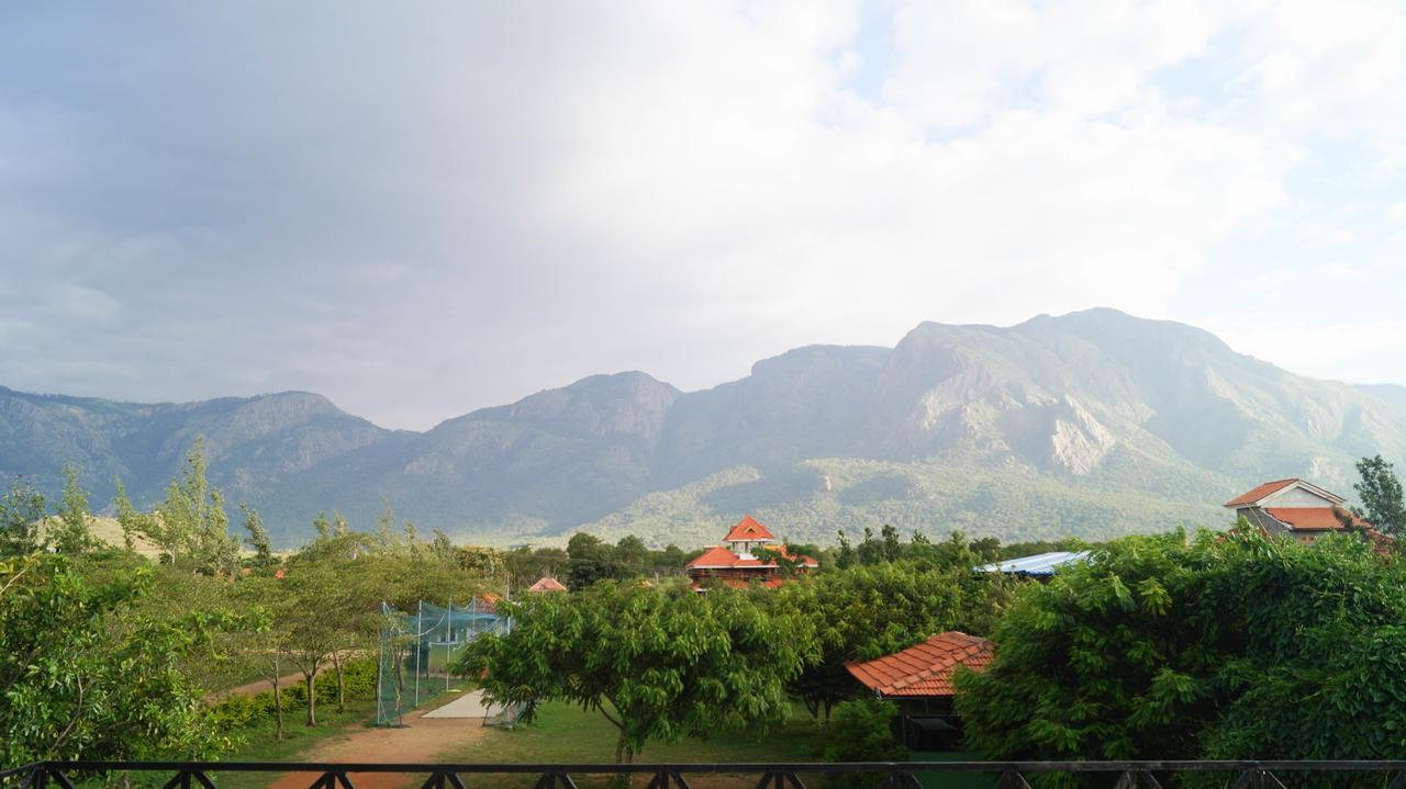 Mountain View Hotel Masinagudi Luaran gambar
